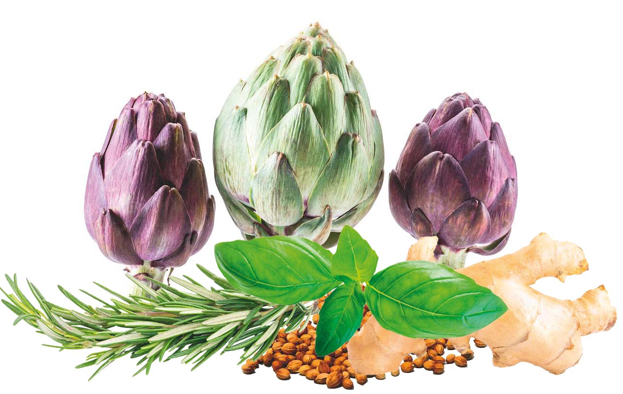 Qan daxilindəki «pis» xolesterin səviyyəsini azaltmaq üçün ən yaxşı 7 bitki