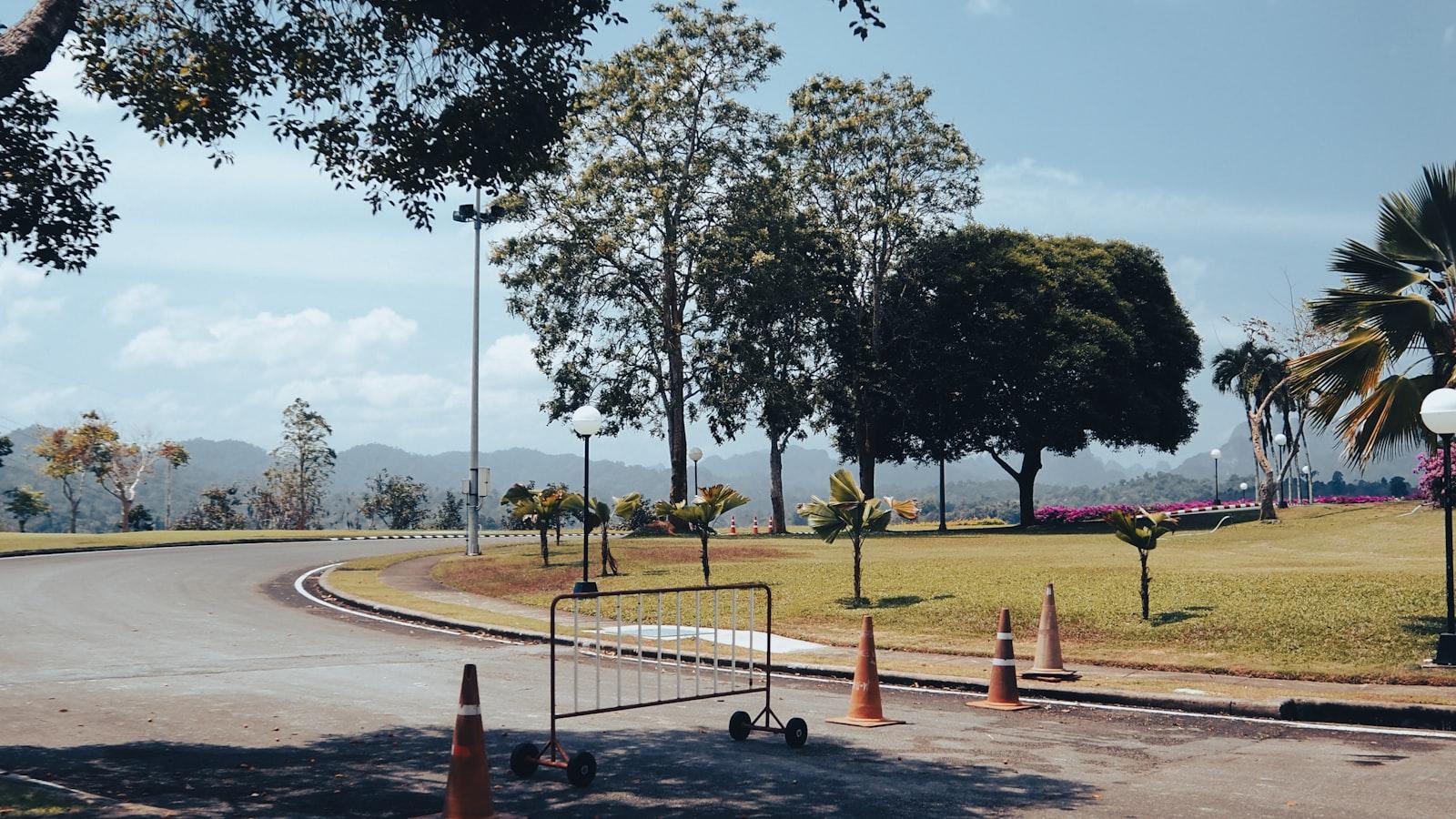 Nar şirəsi: faydaları və əks-göstərişləri