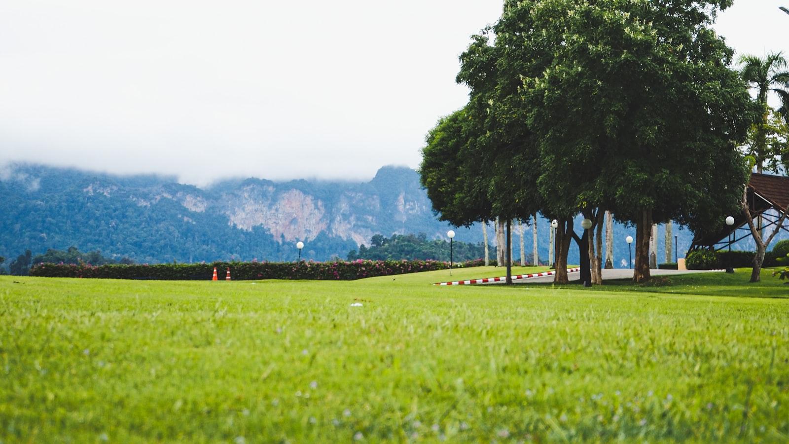 Гранатовый сок: польза и противопоказания