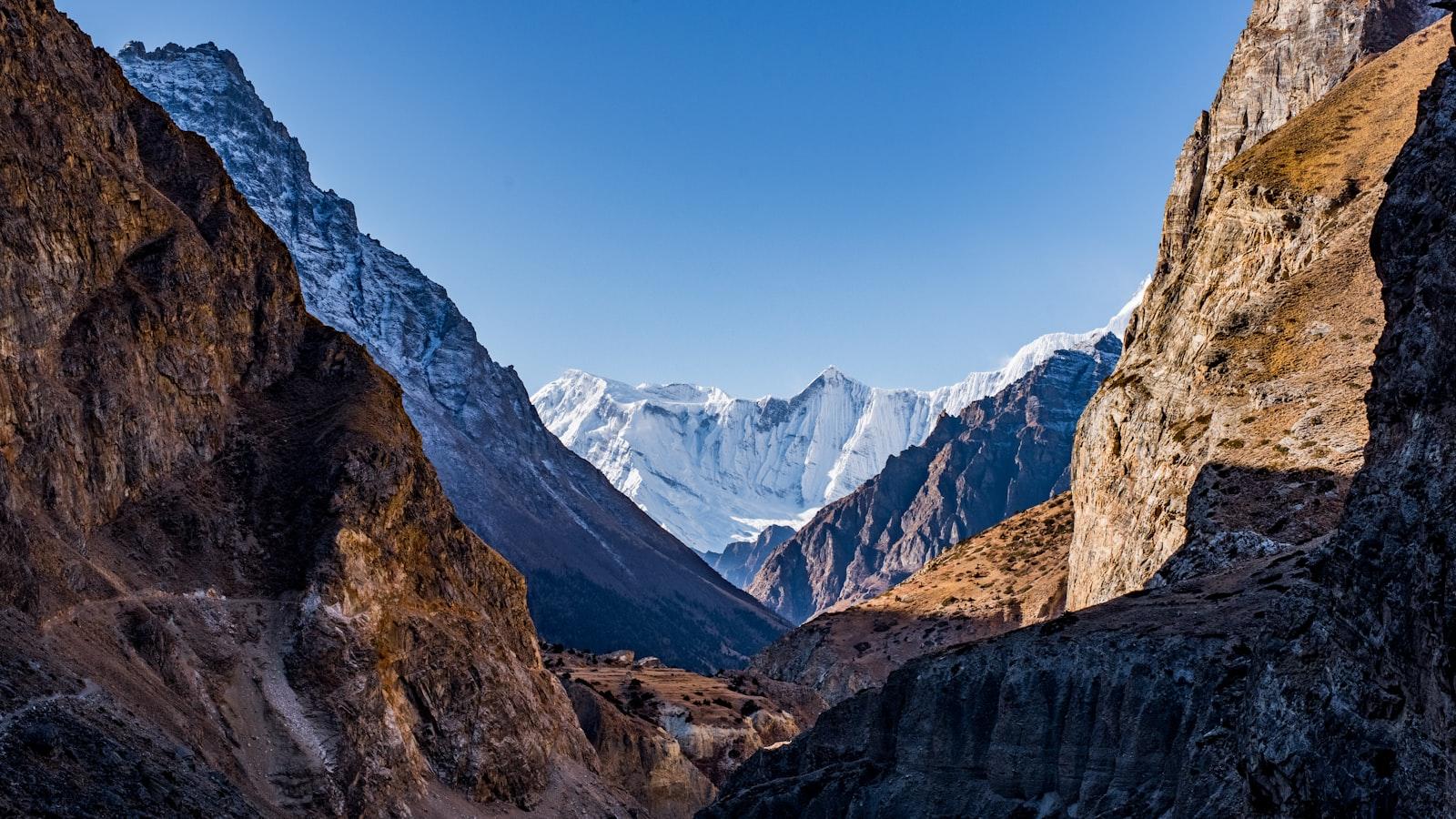 Nar suyu: faydaları və əks göstərişləri